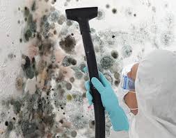 Why You Should Choose Our Mold Remediation Services in Lynchburg, VA